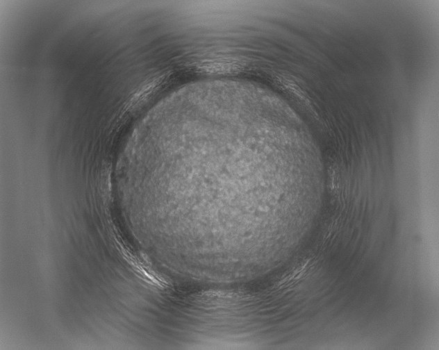 X0000058780733200510171252