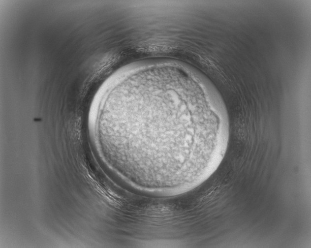 X0000058780735200510171252