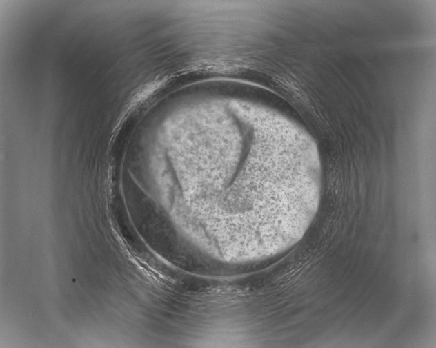 X0000058780736200510171252