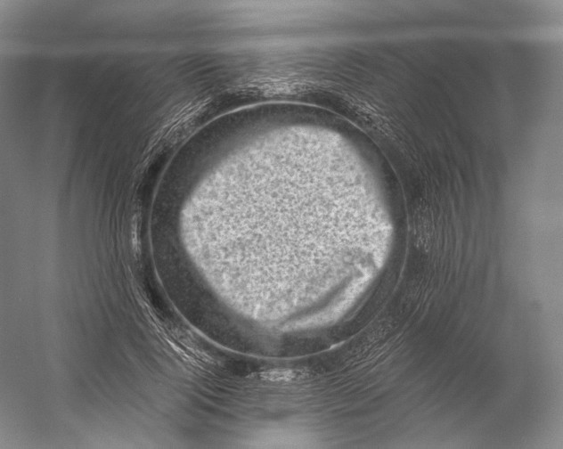 X0000058780740200510171252