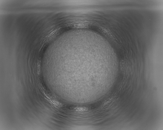 X0000058780741200510171252