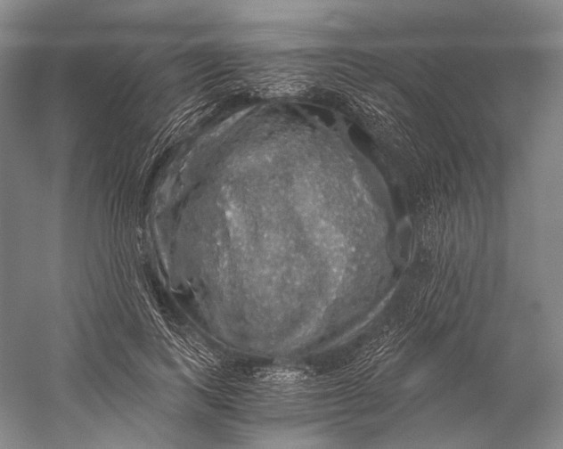 X0000058780743200510171253