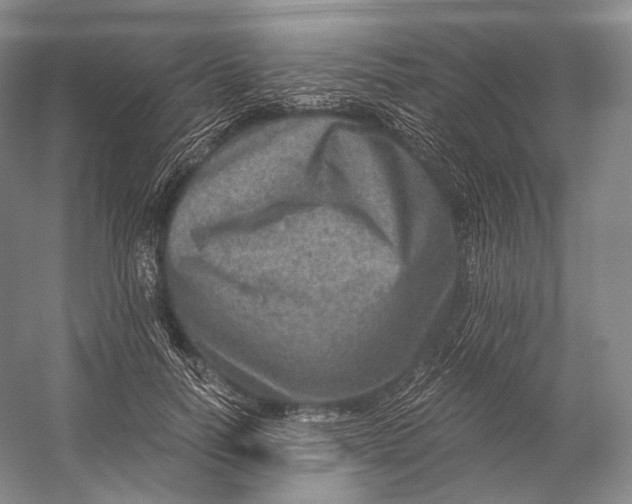 X0000058780746200510171253