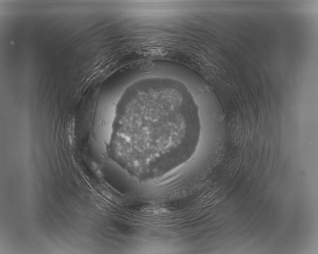 X0000058780747200510171253