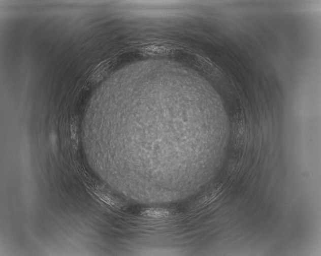 X0000058780749200510171253