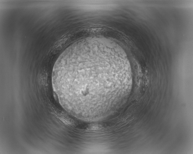 X0000058780750200510171253