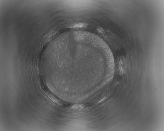 X0000058780762200510171253