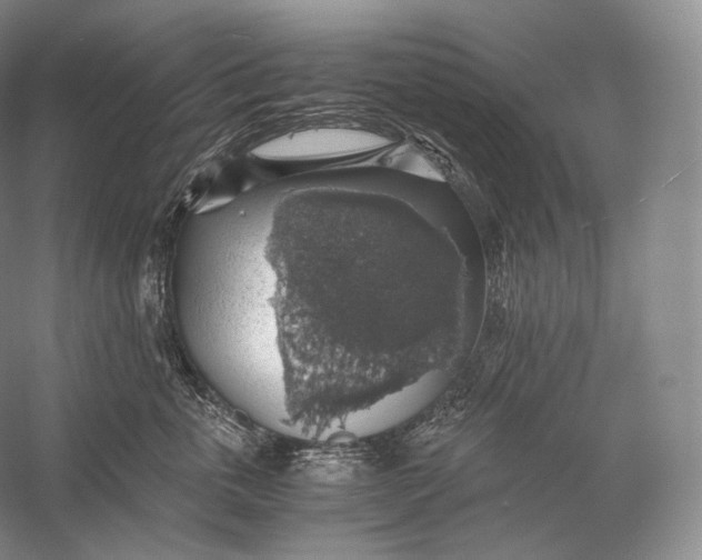 X0000058780763200510171253