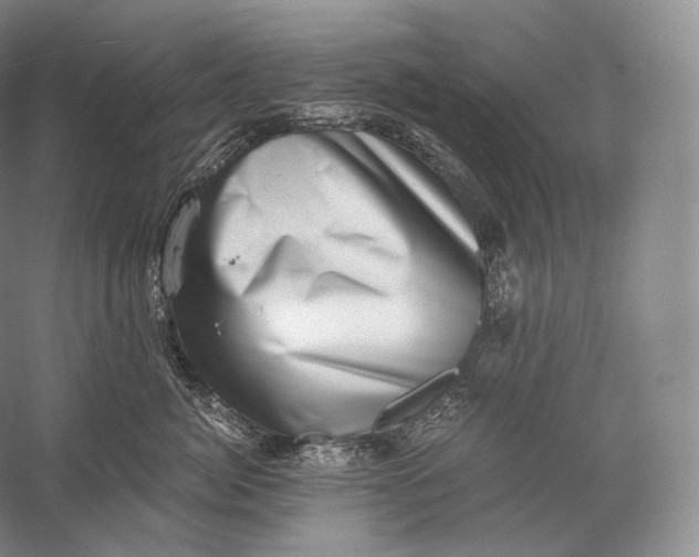 X0000058780764200510171253