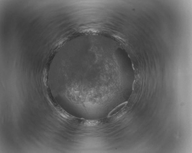 X0000058780767200510171253