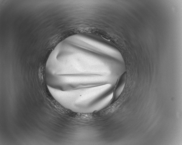 X0000058780768200510171253