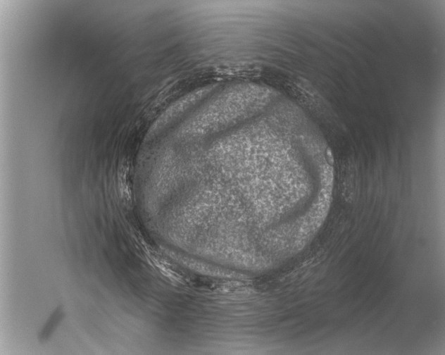 X0000058780770200510171252