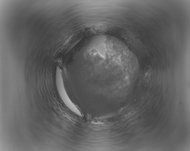 X0000058780772200510171252