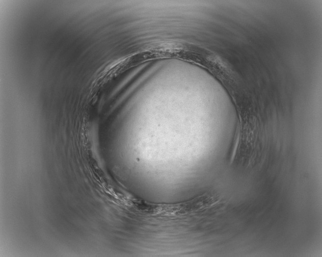 X0000058780773200510171252