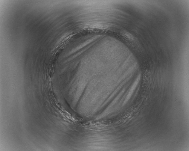 X0000058780774200510171252