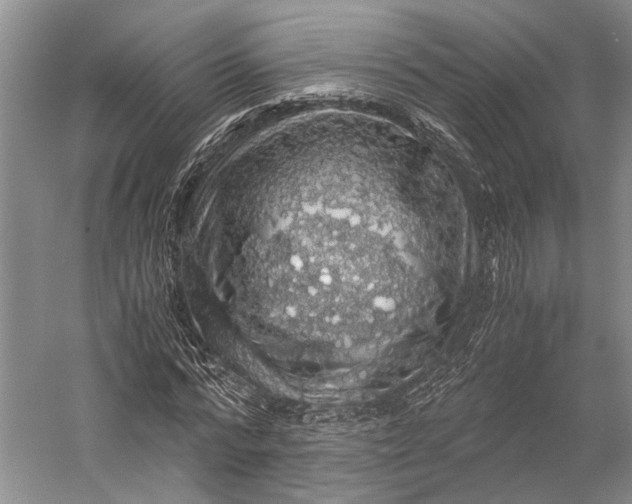 X0000058780776200510171252