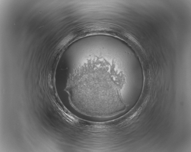 X0000058780777200510171252