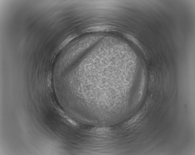 X0000058780778200510171252