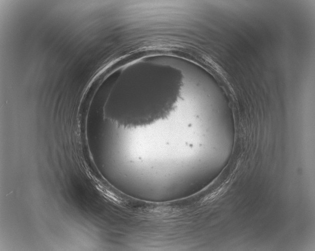 X0000058780779200510171252