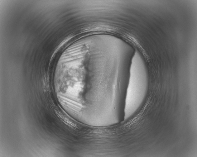 X0000058780780200510171252