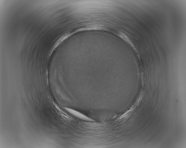 X0000058780781200510171252