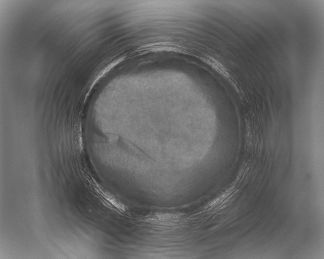 X0000058780782200510171252