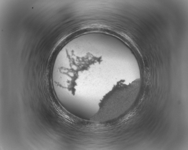 X0000058780783200510171252