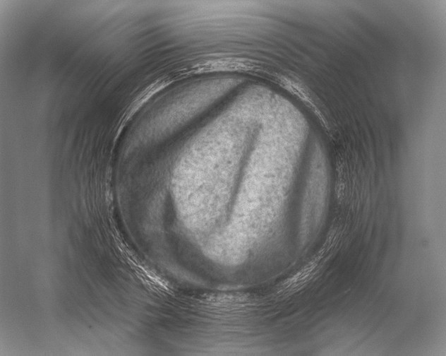 X0000058780786200510171252