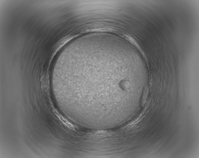 X0000058780787200510171252