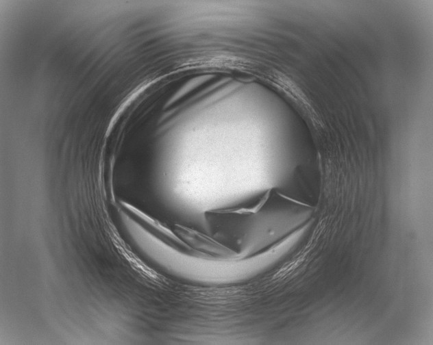 X0000058780788200510171252