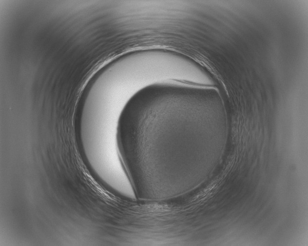 X0000058780789200510171252