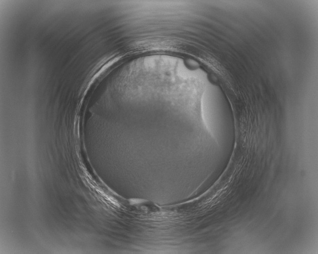 X0000058780790200510171252