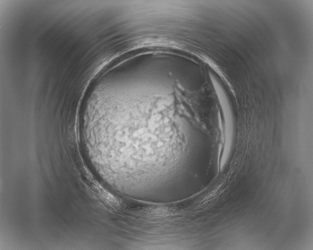 X0000058780791200510171252