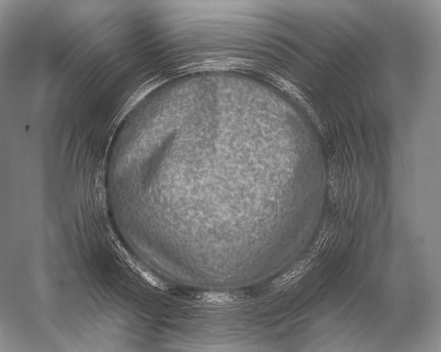 X0000058780794200510171252