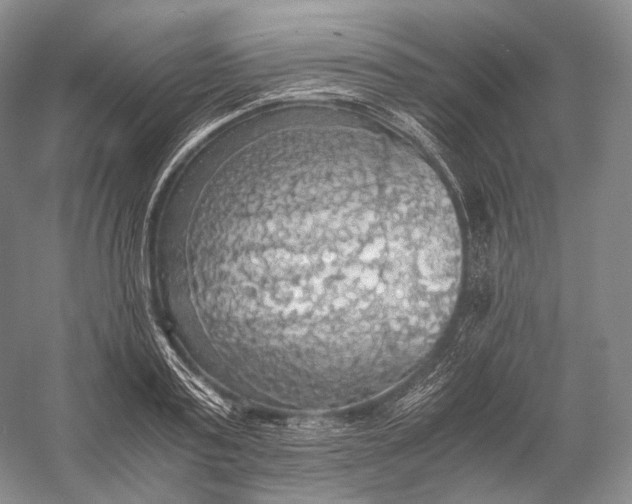 X0000058780795200510171252