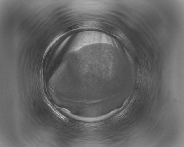 X0000058780796200510171252