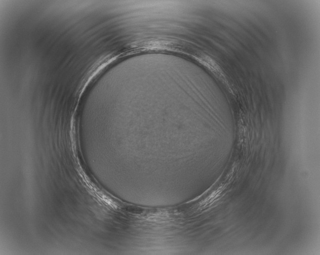 X0000058780798200510171252