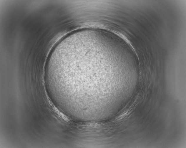 X0000058780799200510171252