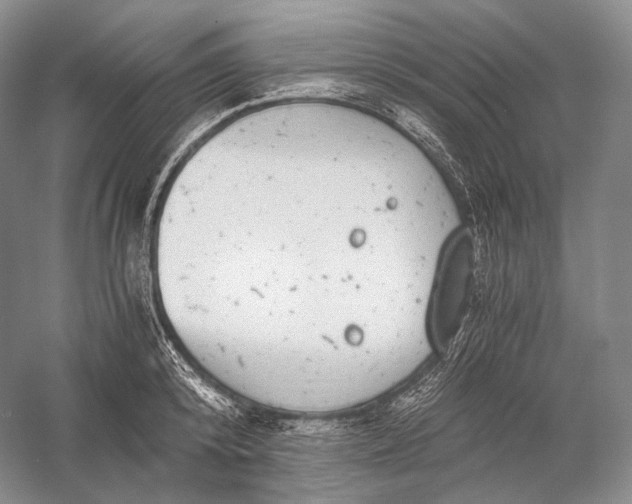 X0000058780800200510171252