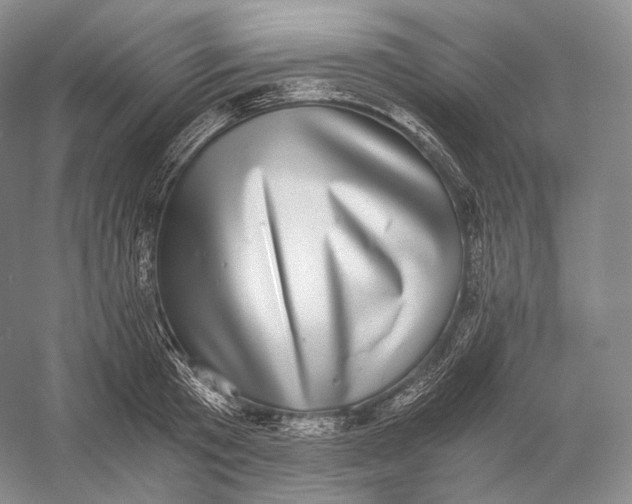 X0000058780801200510171252