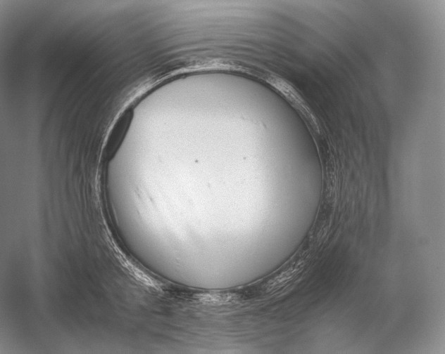 X0000058780805200510171251