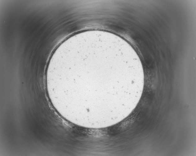 X0000058780807200510171251