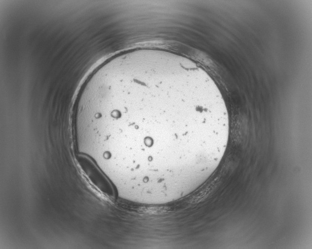 X0000058780808200510171251