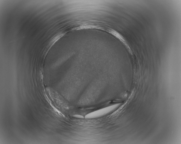 X0000058780809200510171251