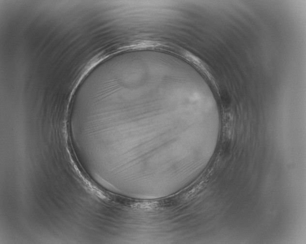 X0000058780810200510171251