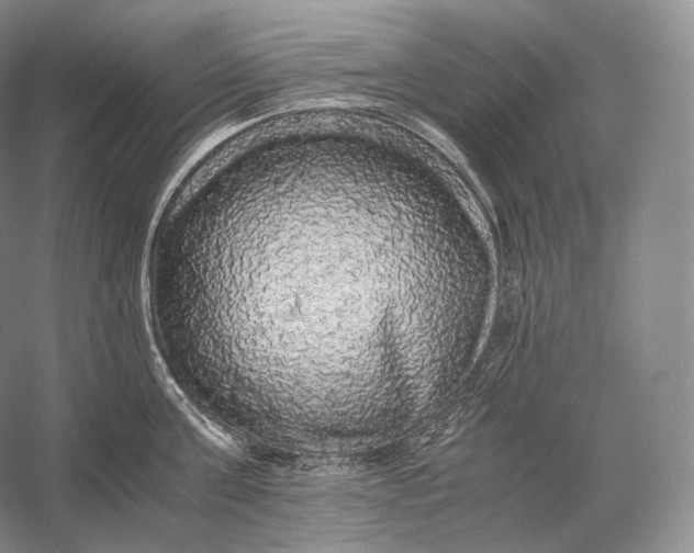 X0000058780811200510171251