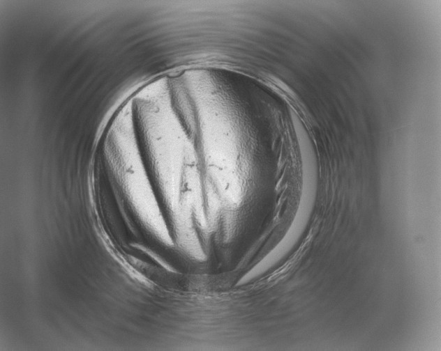 X0000058780812200510171251