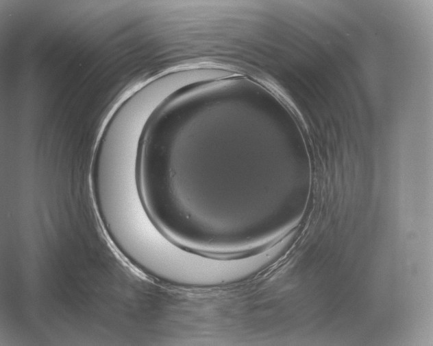 X0000058780813200510171251