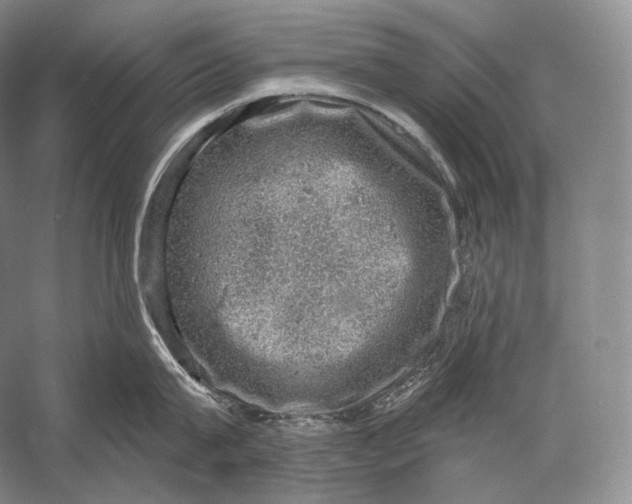 X0000058780815200510171251