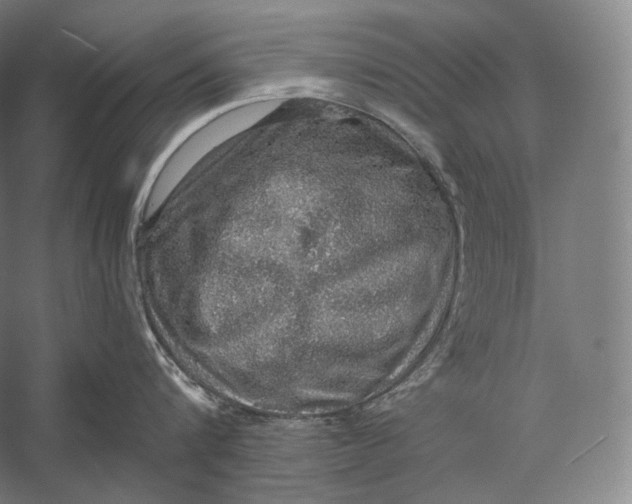 X0000058780816200510171251